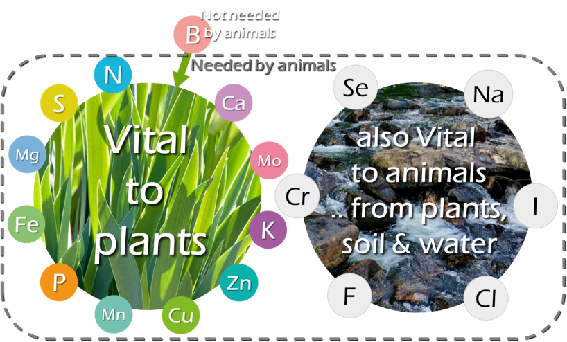 blue planet nutrients harvest review