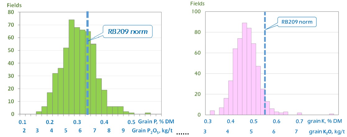 Figure 2. Variation in P & K concentrations in wheat grain