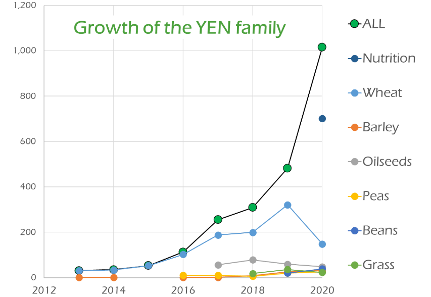 Growth of YEN family