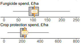 box and whisker chart example